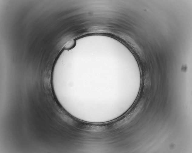 X0000102001273200808151439