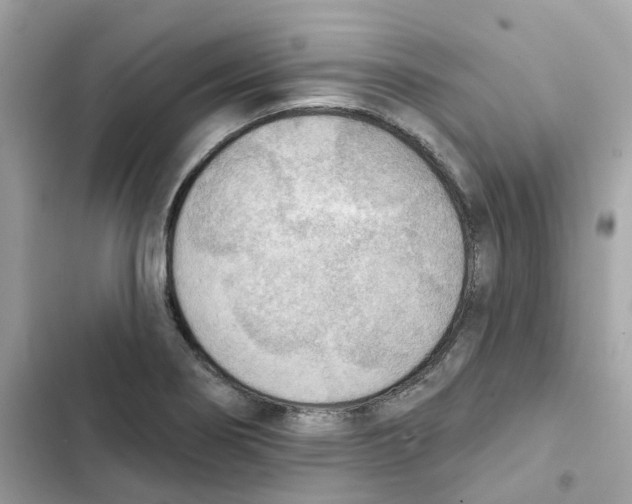 X0000102001274200808151439