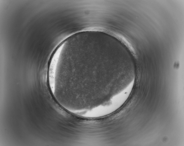 X0000102001276200808151439