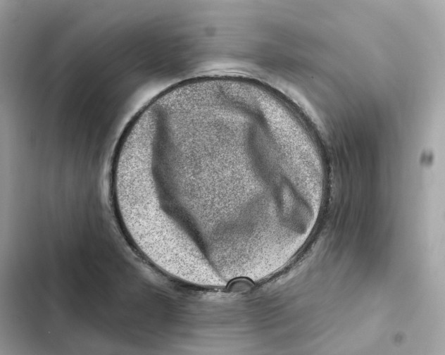 X0000102001277200808151438