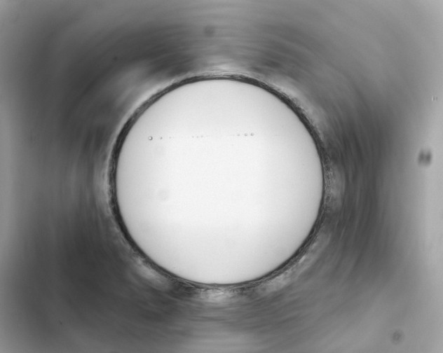 X0000102001278200808151438