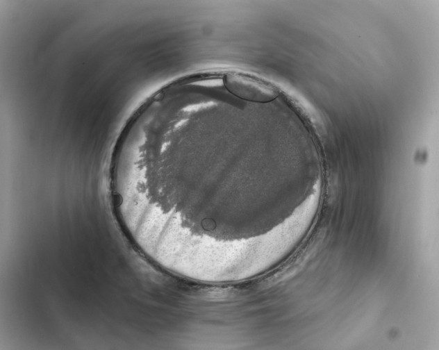 X0000102001279200808151438