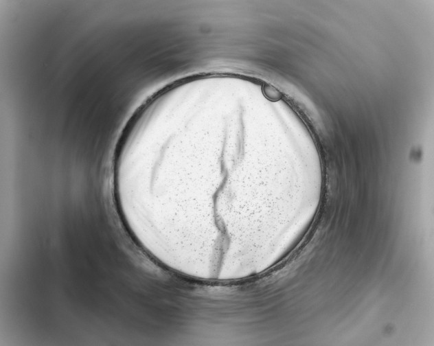 X0000102001280200808151438