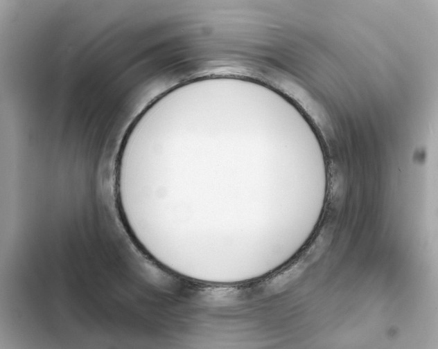 X0000102001282200808151438