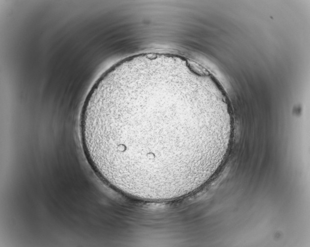 X0000102001283200808151438