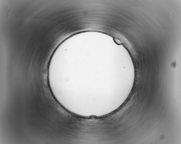 X0000102001284200808151438