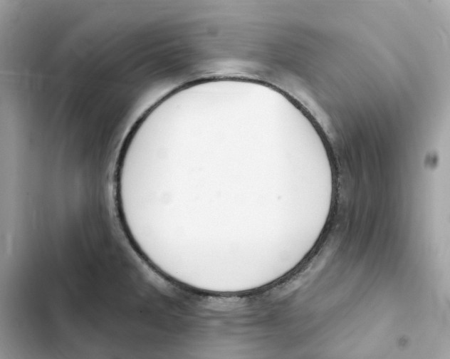 X0000102001285200808151438