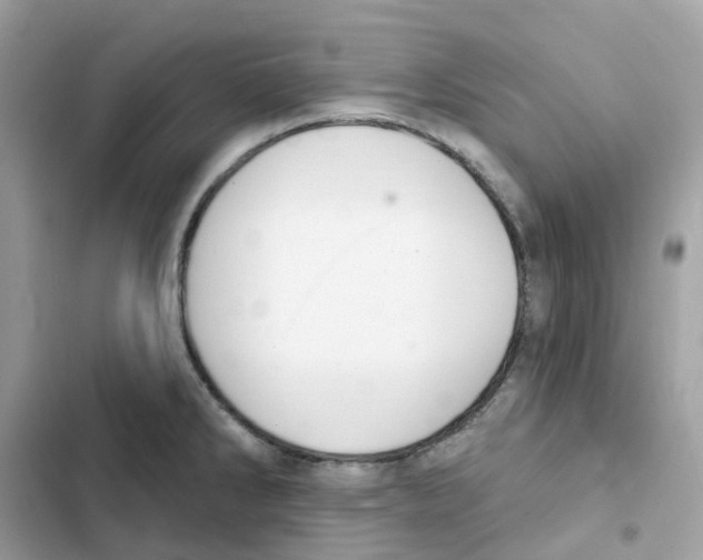 X0000102001286200808151438