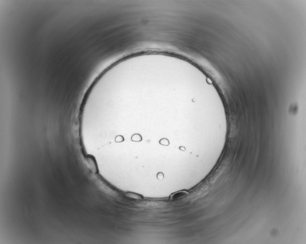 X0000102001287200808151438