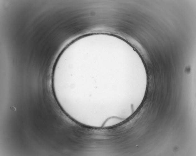 X0000102001288200808151438