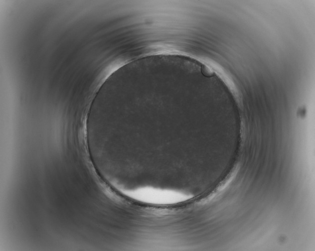 X0000102001289200808151438