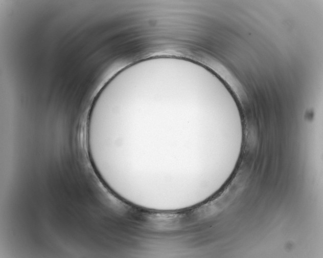 X0000102001290200808151438