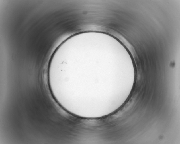 X0000102001293200808151438