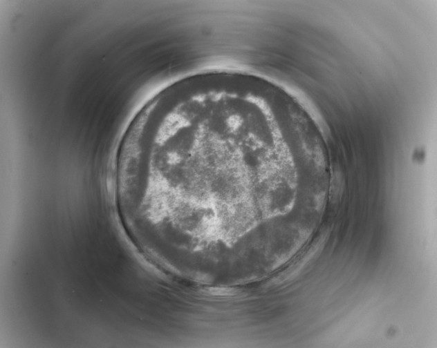 X0000102001295200808151438