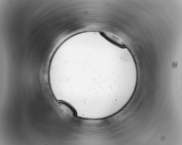 X0000102001296200808151438