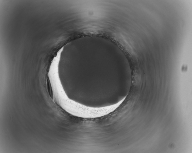 X0000102001297200808151438