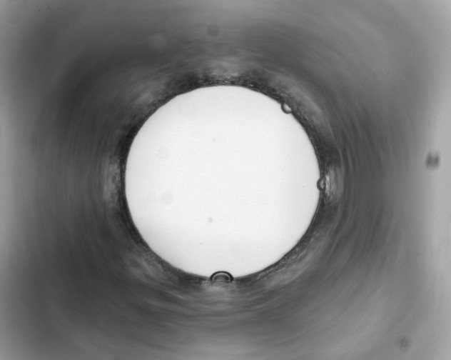 X0000102001299200808151438