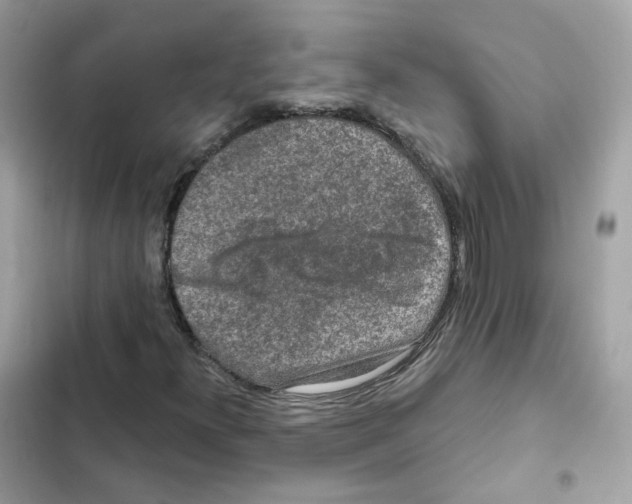 X0000102001300200808151438