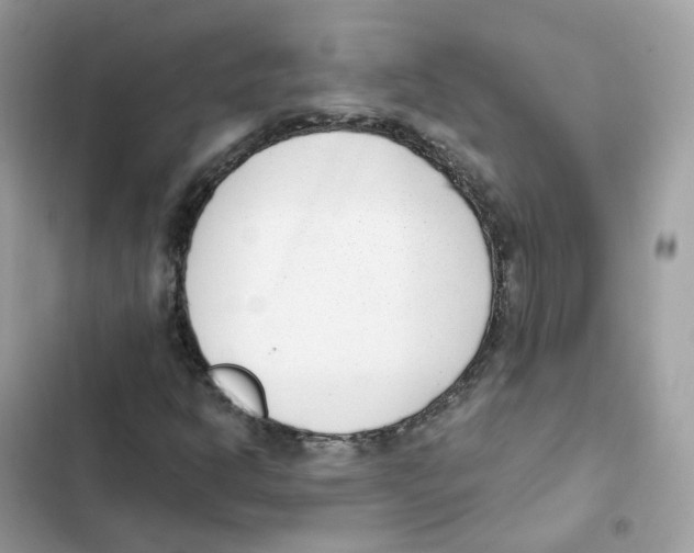 X0000102001302200808151438