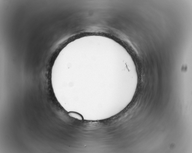 X0000102001304200808151438