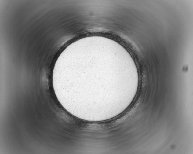 X0000102001305200808151438