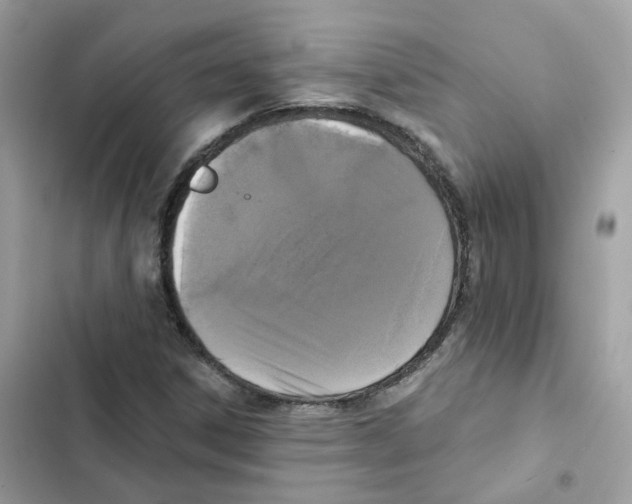 X0000102001306200808151438