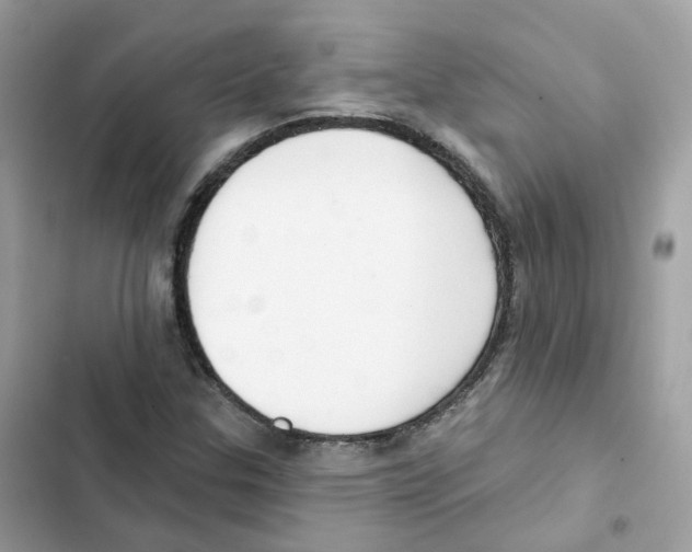 X0000102001307200808151438