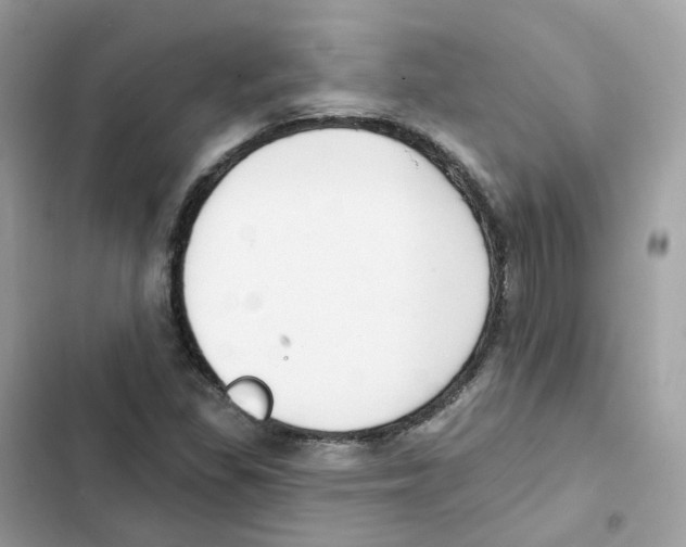 X0000102001309200808151438