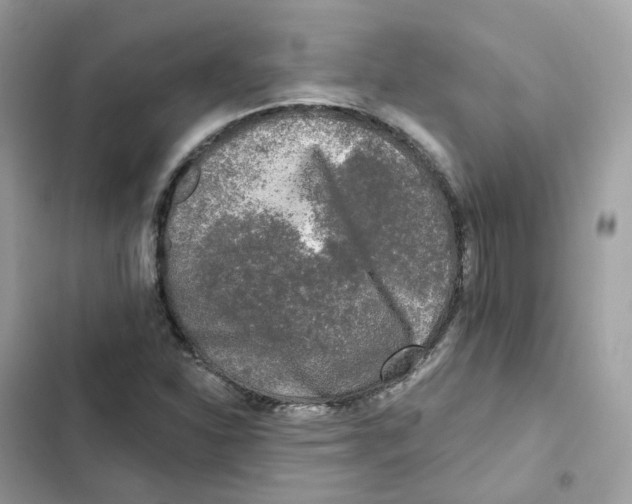 X0000102001310200808151438