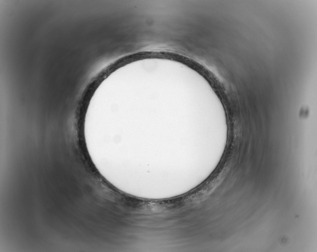 X0000102001311200808151438