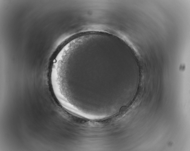 X0000102001312200808151438