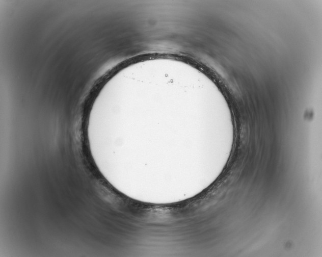 X0000102001315200808151438