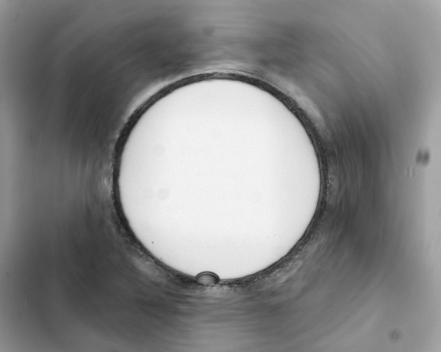 X0000102001316200808151438