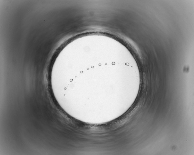 X0000102001318200808151438