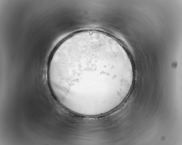 X0000102001320200808151438