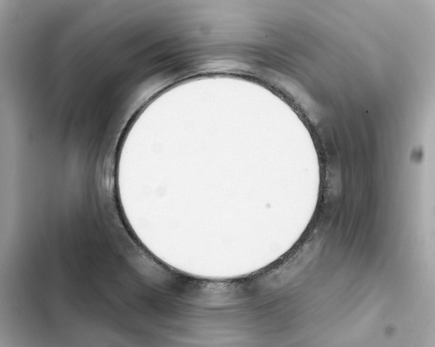 X0000102001322200808151438