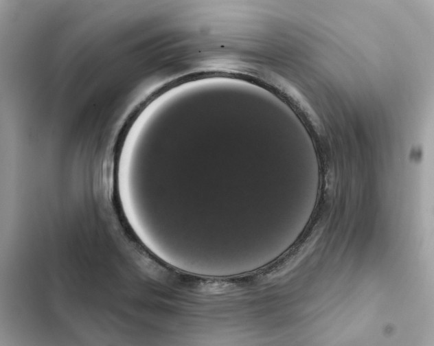 X0000102001323200808151438