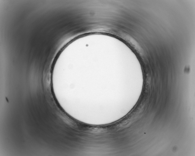 X0000102001324200808151438