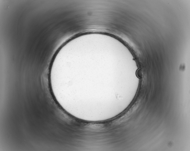 X0000102001325200808151438