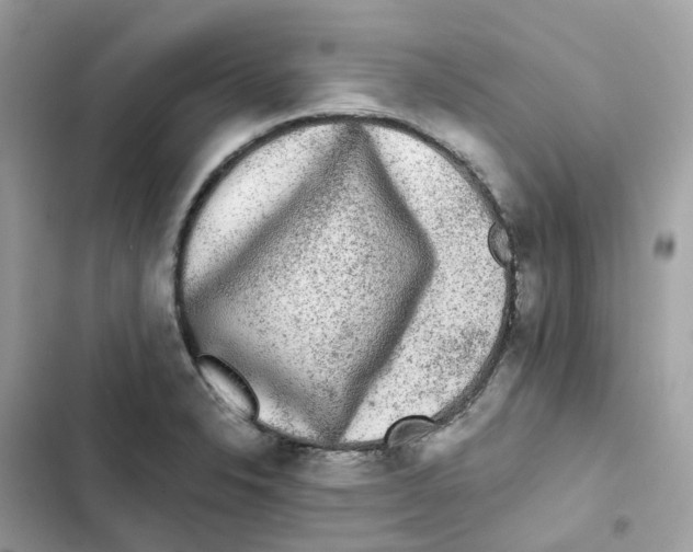 X0000102001326200808151438