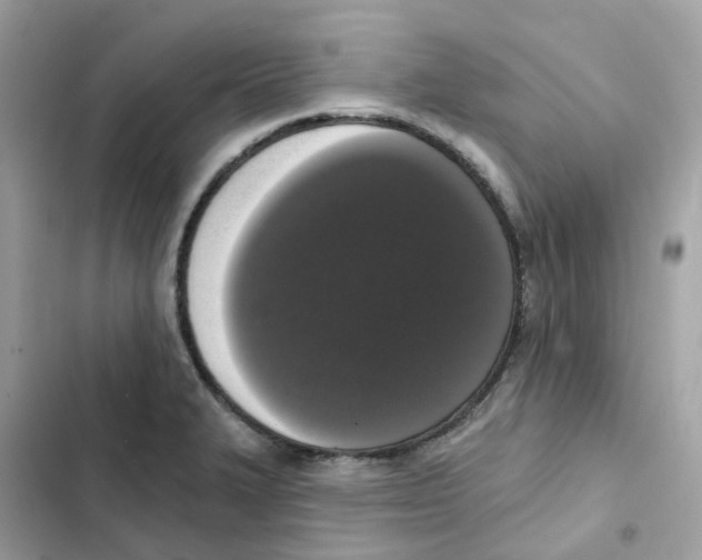 X0000102001327200808151438