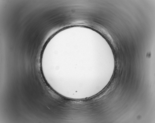 X0000102001328200808151438