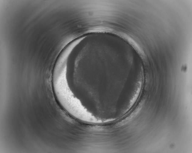 X0000102001329200808151438