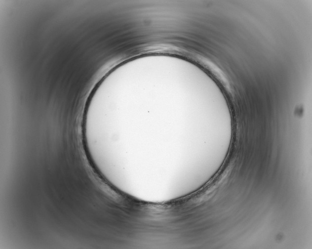 X0000102001330200808151438