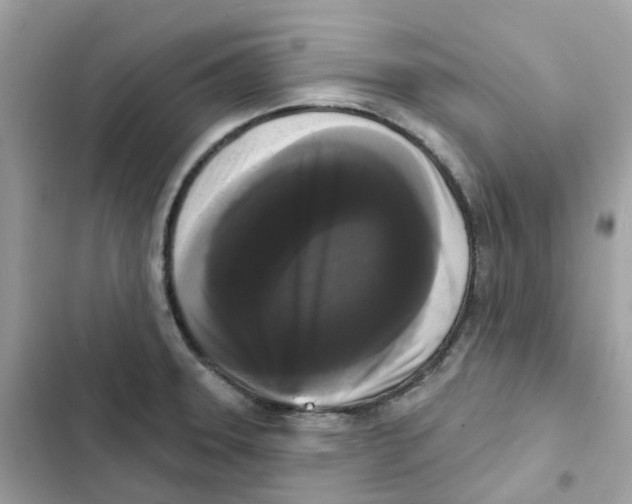 X0000102001331200808151438