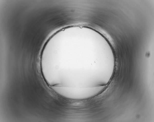 X0000102001332200808151438