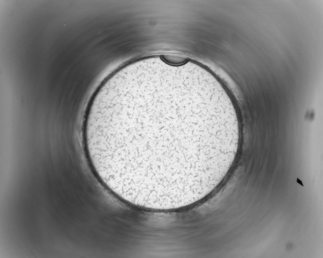 X0000102001333200808151438