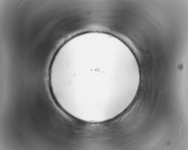 X0000102001335200808151438