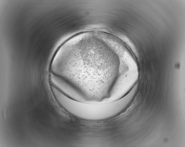 X0000102001336200808151438