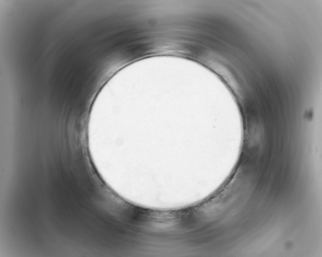 X0000102001338200808151438